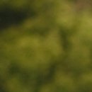 금곡한의원 이미지