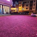 부도난남자구미