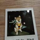 (주)아람미트