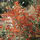 하늘마루 이미지