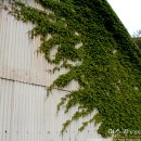 해뜨는바다펜션 이미지