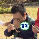 잠비스테이 이미지