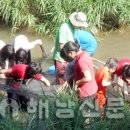 텃밭과 함께하는 생태체험놀이 이미지