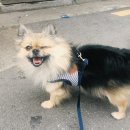 우리콩