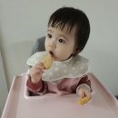 쿠키네PC 이미지