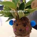 동산마을노인정 이미지