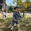 10월 1주 놀이이야기 6 [바깥놀이] 이미지
