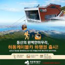 하동 플라이웨이 케이블카 | "예약은 전날 필수" 하동 플라이웨이 케이블카 2026 이용 꿀팁