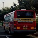 뉴세진광고