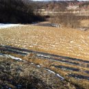 자유농장 이미지