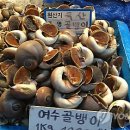 골뱅이요리나라