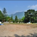 고성초등학교 이미지