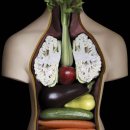 채식향기 이미지