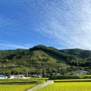 자락스테이 이미지