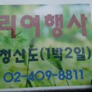 보리 여행사