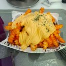 성수동 수제버거 맛집 bd버거 성수 후기