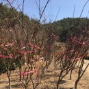 녹지원 농장 이미지