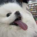 예림문고 이미지