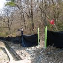 동광초교 이미지