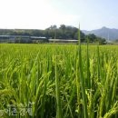 죽암농장 이미지