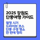 저단23 | 2025 강원도 단풍여행 가이드 절정 시기 드라이브 코스 단풍 구경 명소 한 번에 정리