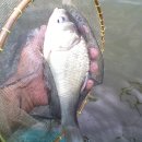 신월낚시터 이미지