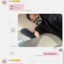 아리미디저트 | 햇살엔 세금이 안 붙어 참 다행이야