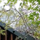 수봉자연학습원 이미지