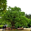 대동한마음타운 이미지