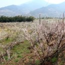 동문2동사무소 이미지