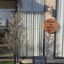 서판교로44번길 이미지