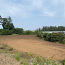 신흥1리 사무소 이미지