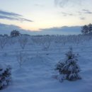 공덕농장 이미지