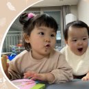 새살약국 이미지