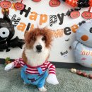 놀다가시개 이미지