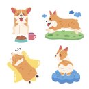 토비동물병원 이미지