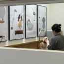 오즈펫살롱 이미지