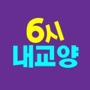 주식회사 나이비