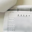 창원지방법원 | 출생신고서 열람, 준비물, 발급방법, 후기 (창원지방법원 마산지원)