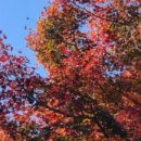 우면산3-34 이미지