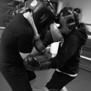 에너자이저 복싱 이미지