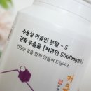 대호양행 이미지