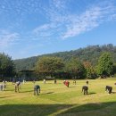 뉴월드 스크린 골프장 이미지