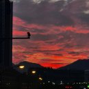 새벽노을 이미지