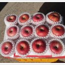 늘푸른농원 이미지