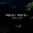 부엉이골 이미지