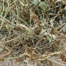 신두리농장 이미지