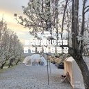 예산-51 | 충남 예산 팜앤투어캠핑장 만개한 배꽃과 함께한 캠핑 후기