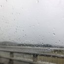 베가스 스크린골프 | 한국 여행 일상 2025.07.14 ~ 2025.07.20