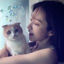 하니캣 이미지